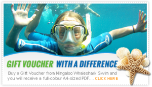 Ningaloo tour gift vouchers