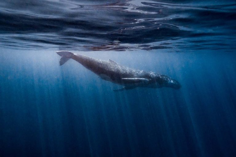 Ningaloo tour gallery photo