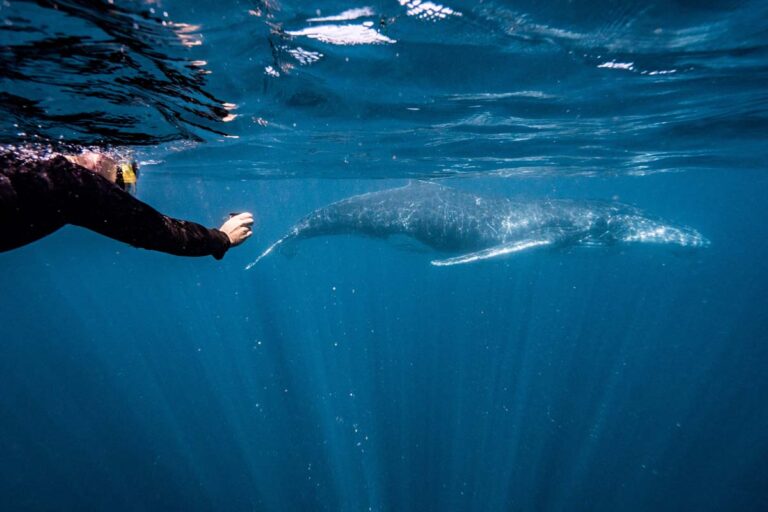 Ningaloo tour gallery photo