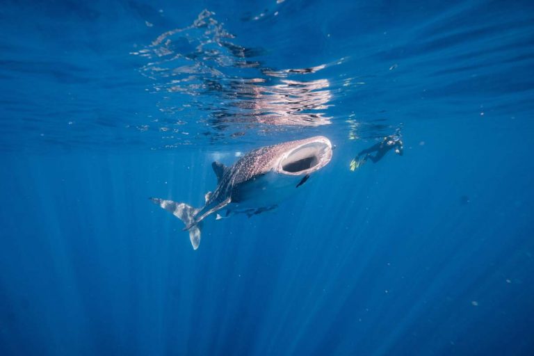 Ningaloo tour gallery photo