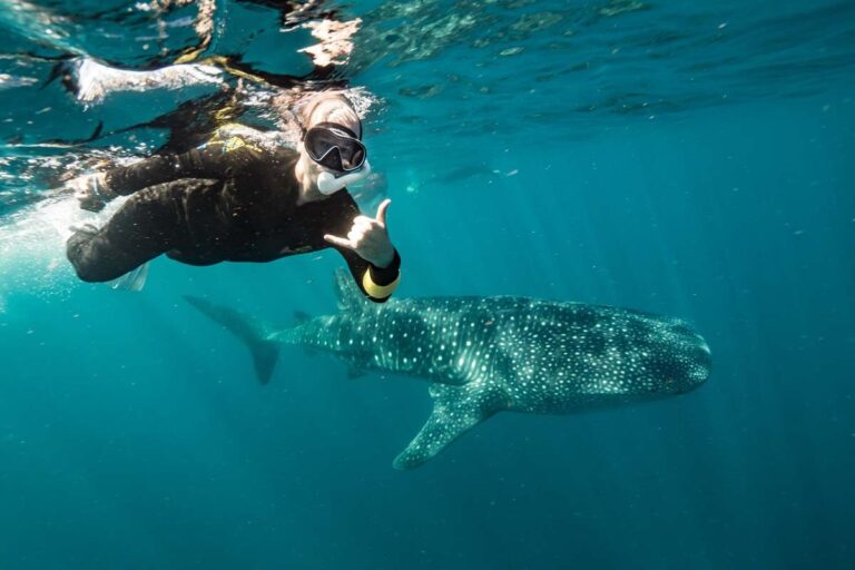Ningaloo tour gallery photo