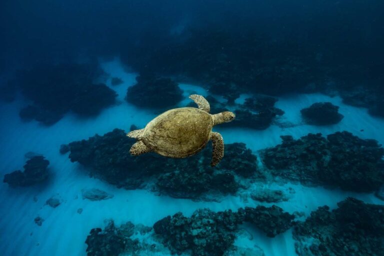 Ningaloo tour gallery photo