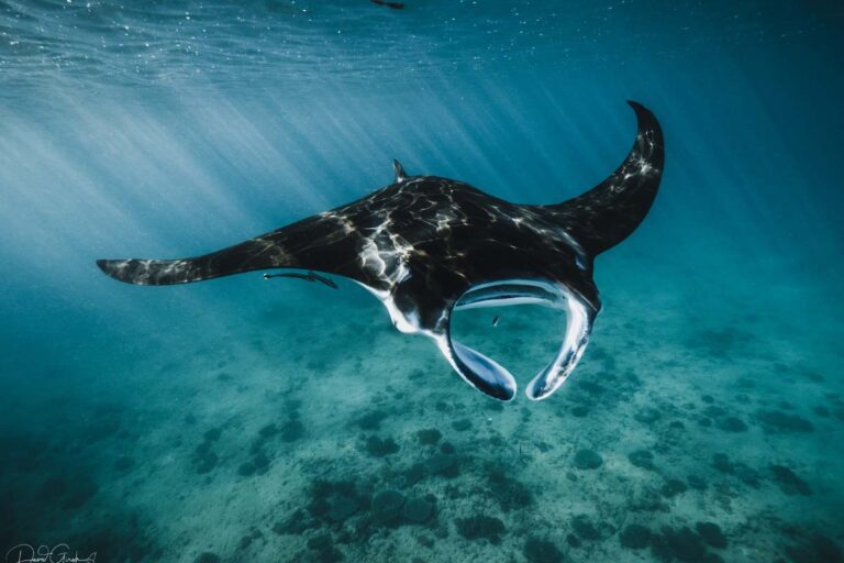 Ningaloo tour gallery photo