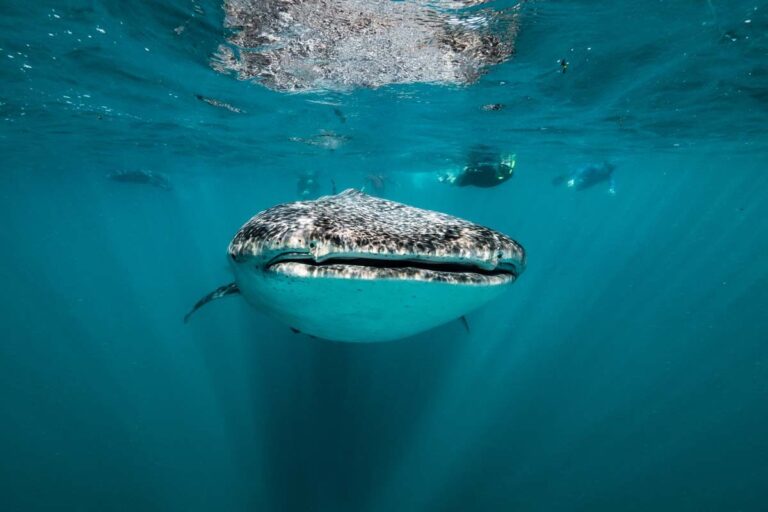 Ningaloo tour gallery photo