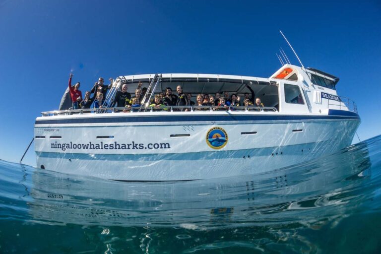Ningaloo tour gallery photo